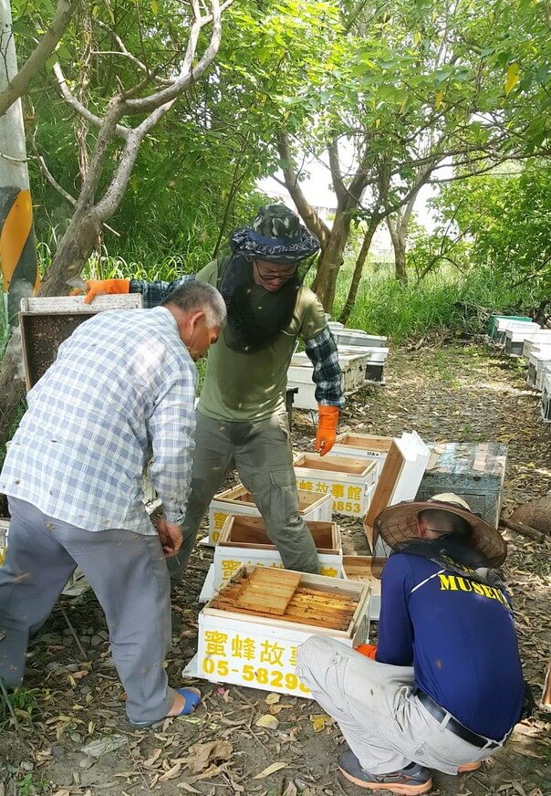 養蜂人移箱作業
