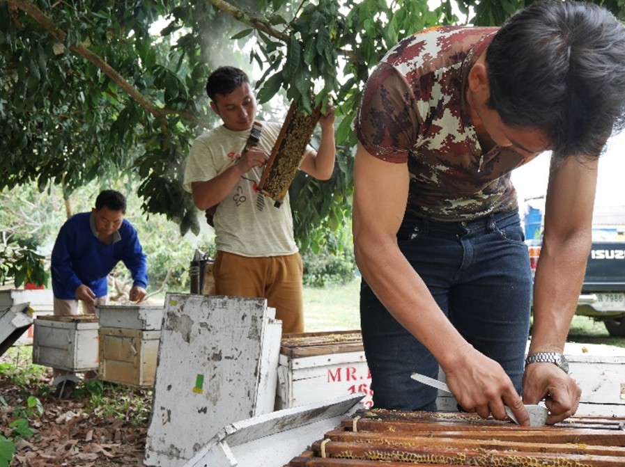 泰國養蜂部門的同事們