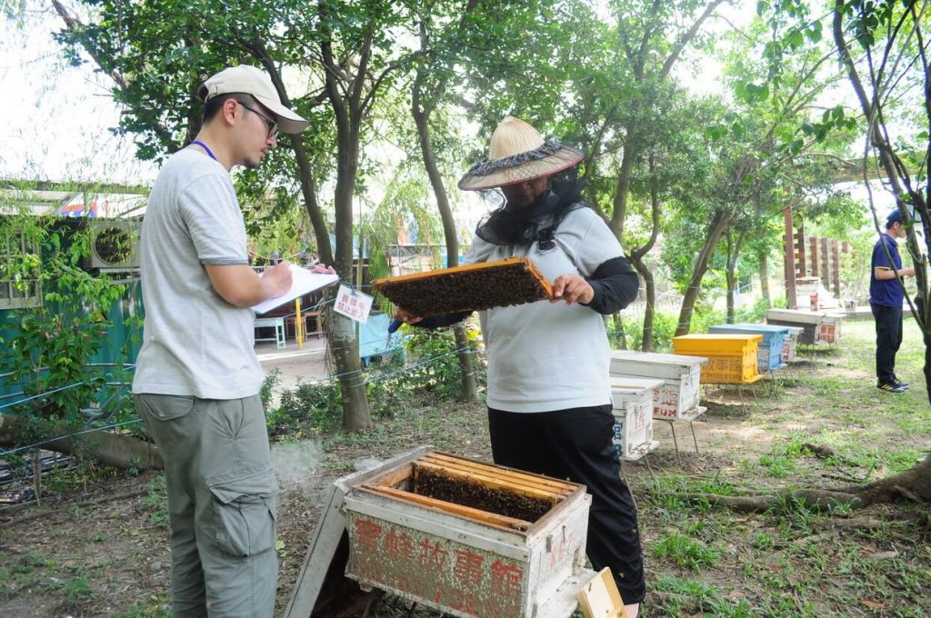 我也會照顧蜜蜂講座,田間放蜂,養蜂教學